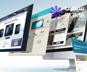 شركات تسويق محترفة